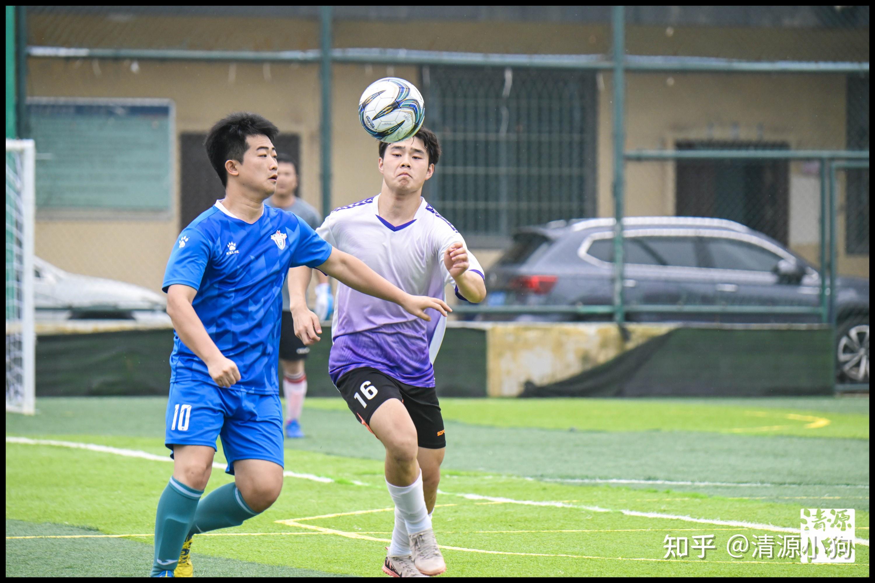 真实质变 真实质变